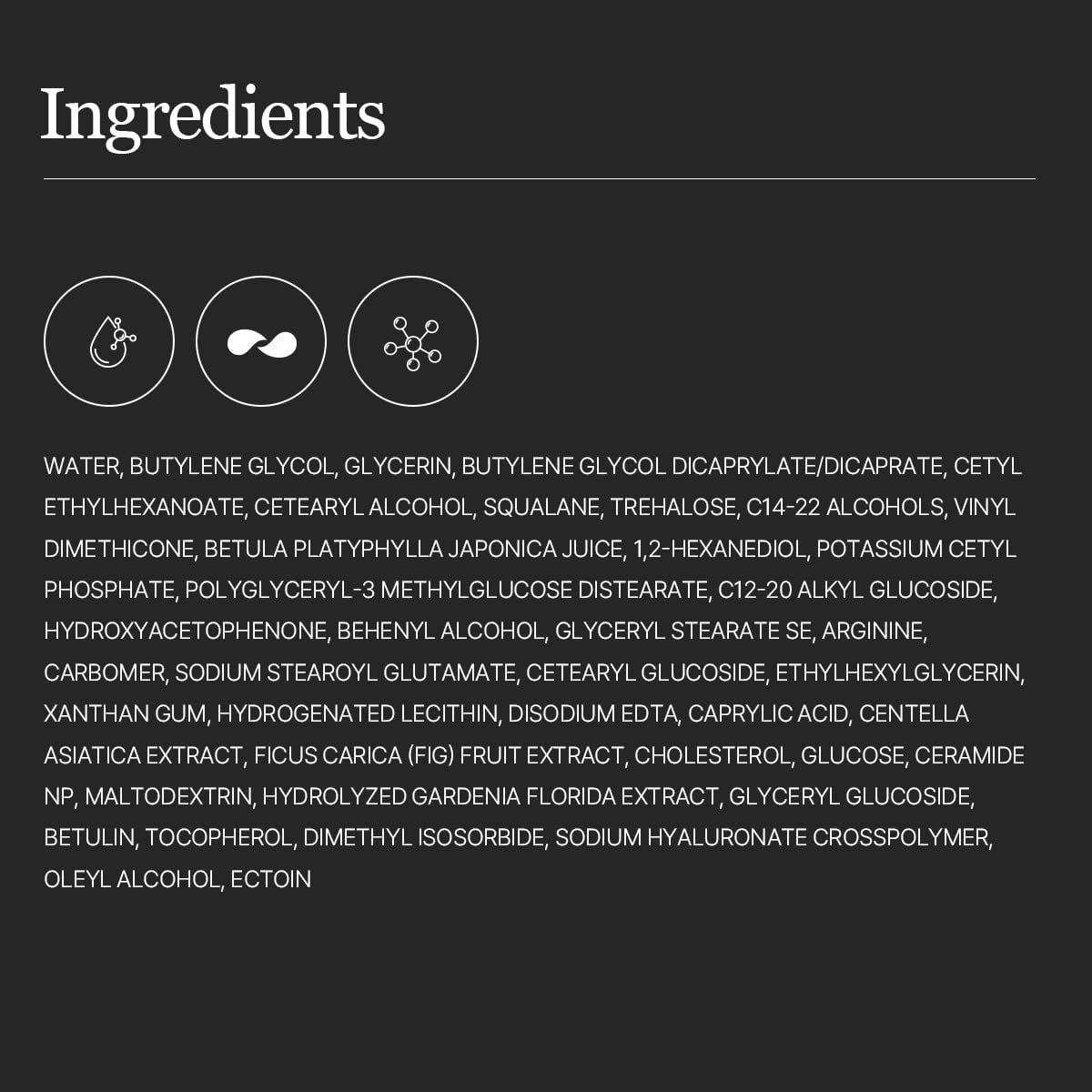 ROUND LAB Camellia PDRN Milky Toner – Glass Skin Hydrator