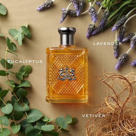 Ralph Lauren Safari for Men Eau de Toilette | Fresh Woody Men's Fragrance