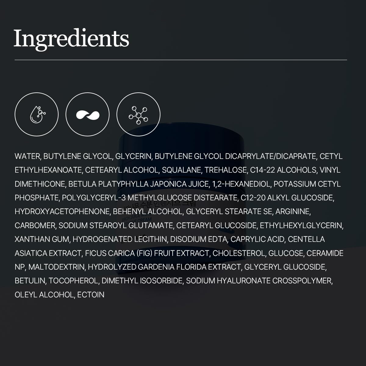 ROUND LAB Birch Juice Moisturizing Intensive Cream | Deep Hydration