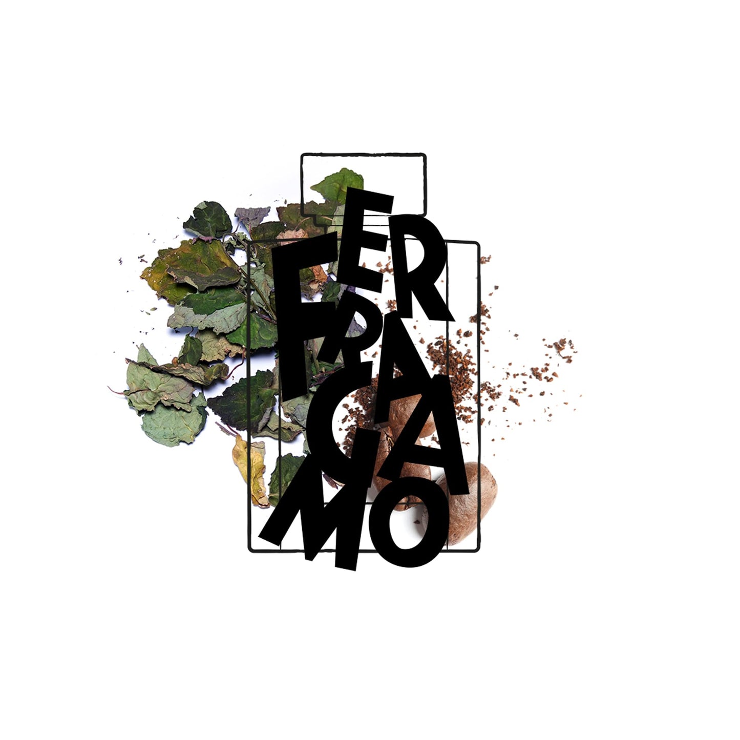 Logo with text 'FERIA DE LA MADERA' surrounded by leafy elements on a white background