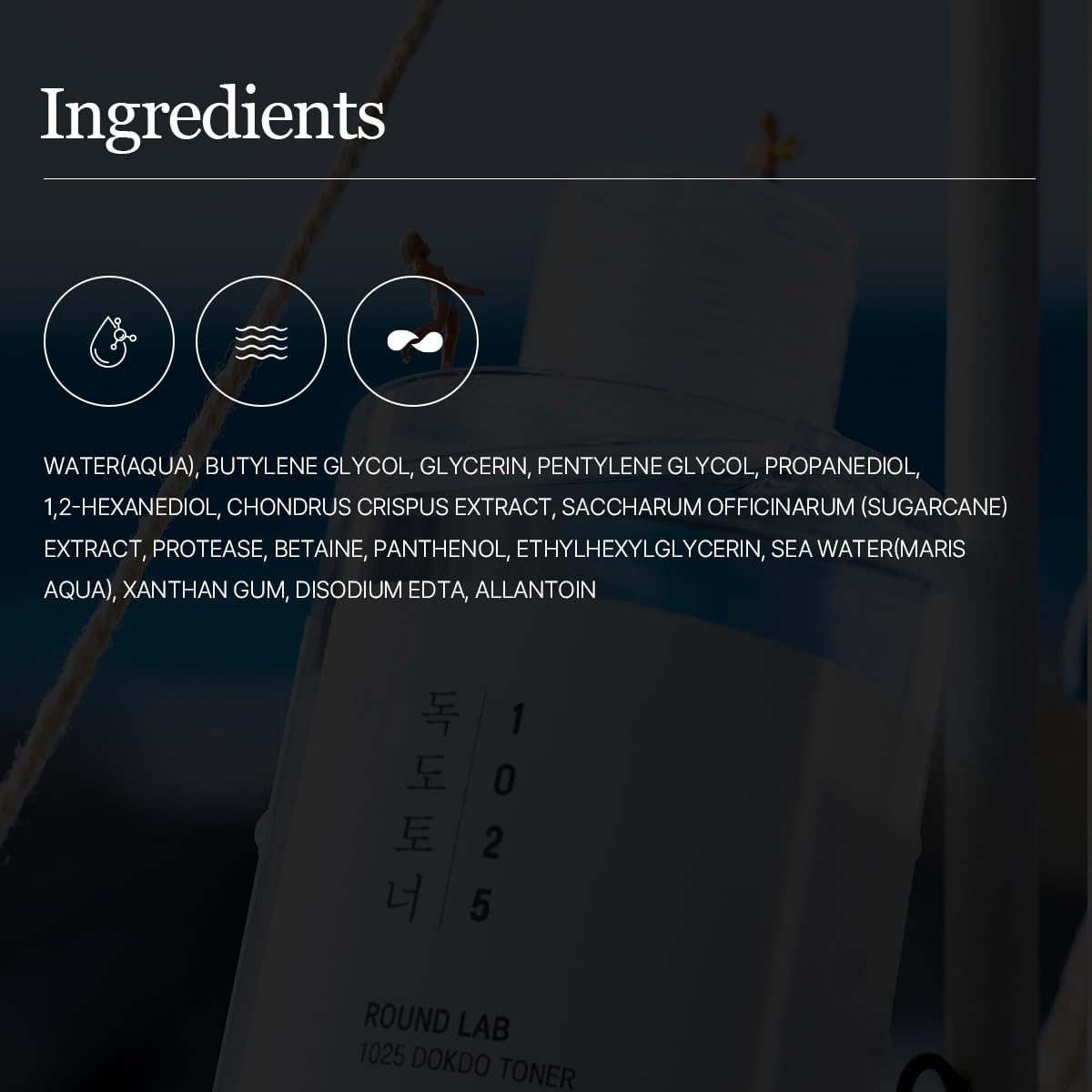 ROUND LAB 1025 Dokdo Toner | Gentle Exfoliating & Hydrating Toner