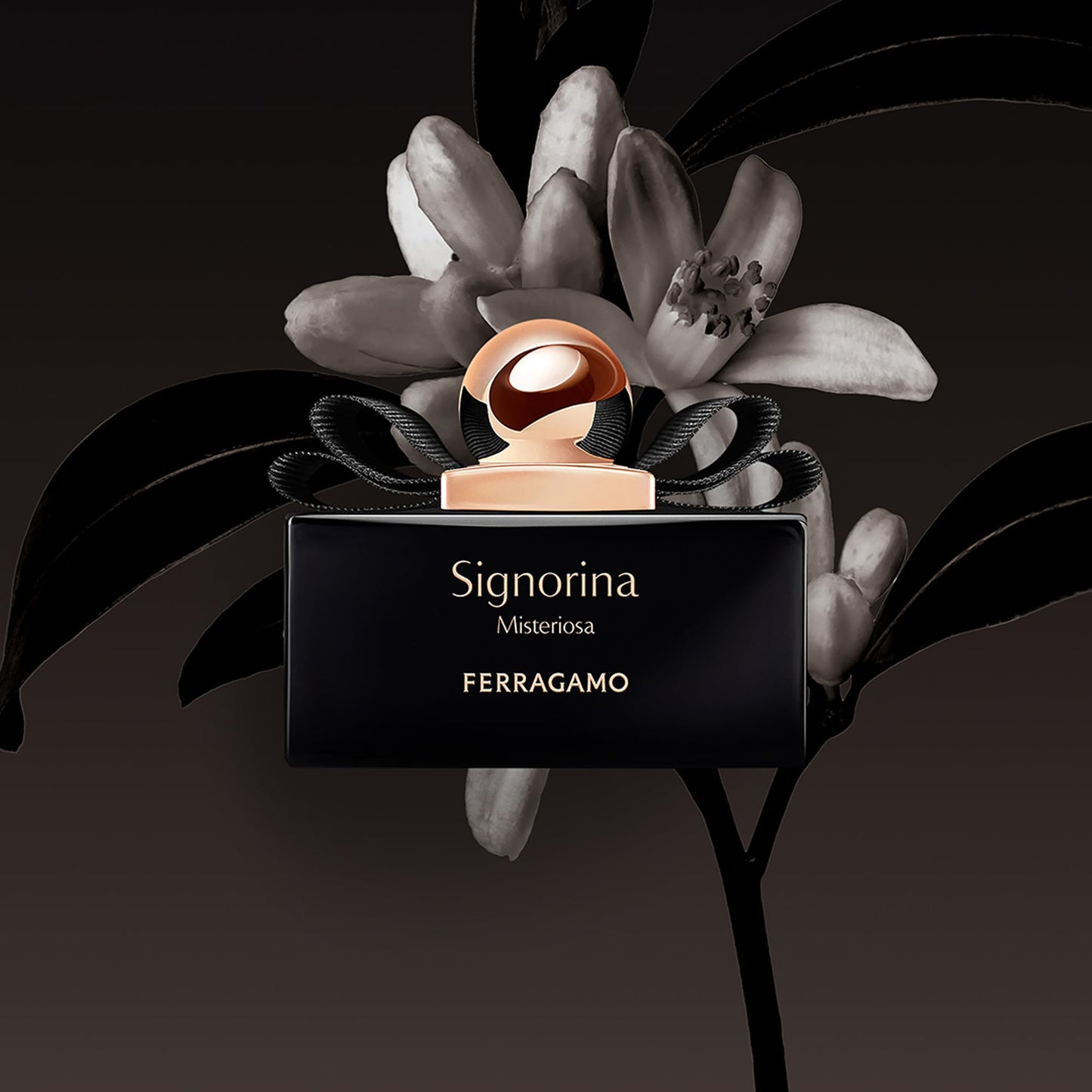 Ferragamo Signorina Misteriosa EDP | Fruity Amber Perfume