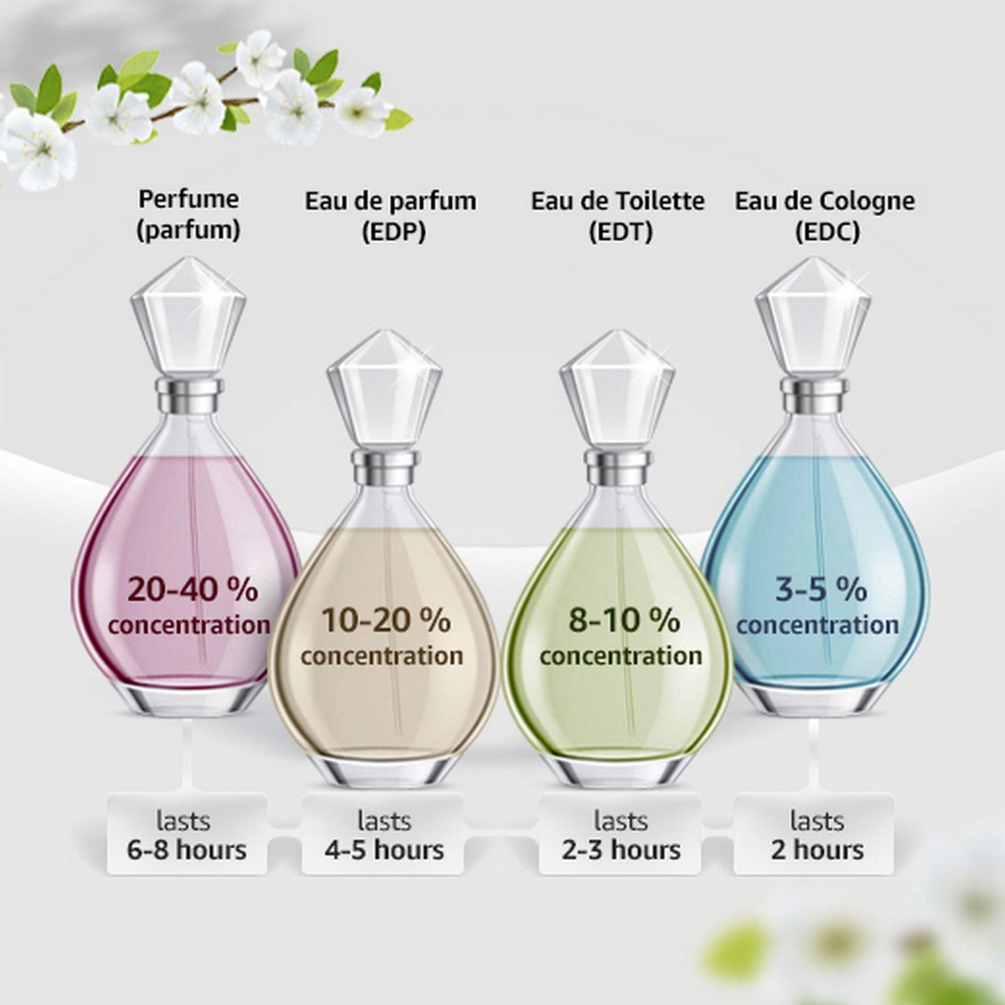 Salvatore Ferragamo Acqua Essenziale EDT | Aromatic Tonic Men’s Cologne – Fresh Citrus & Aquatic
