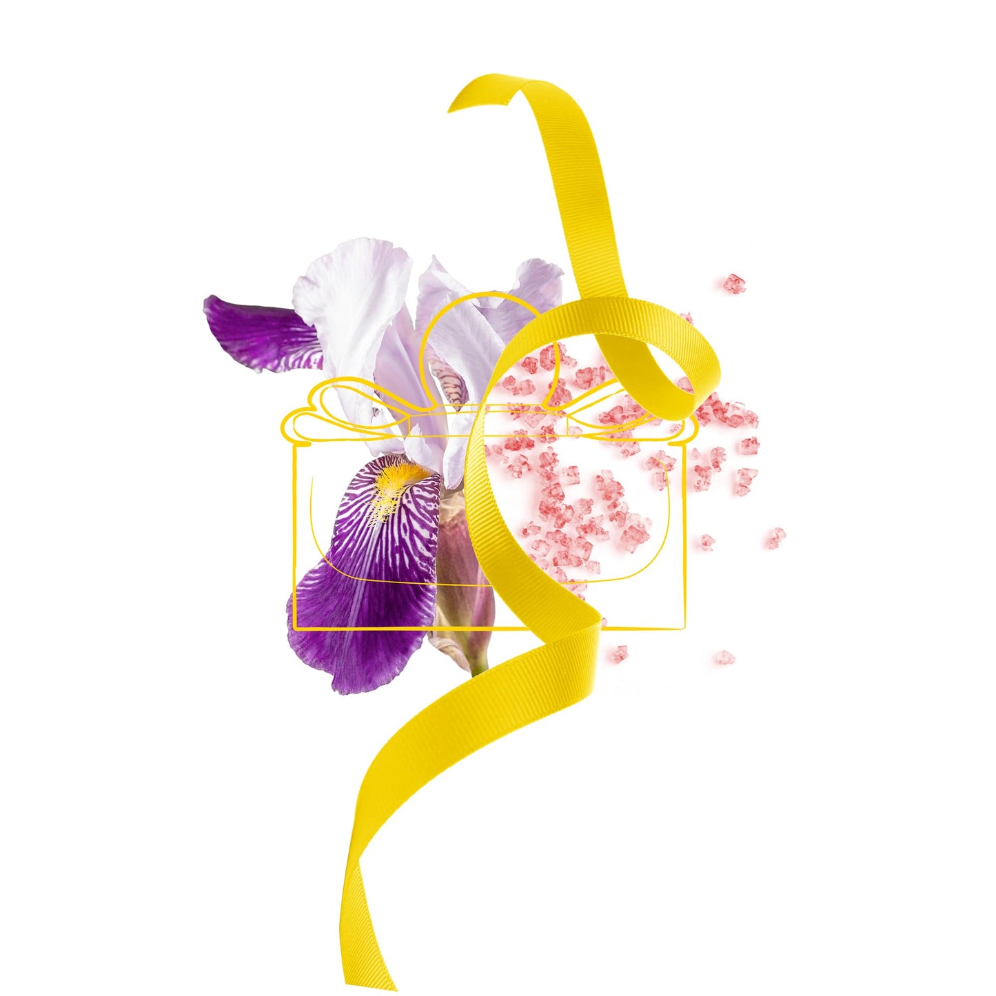 Ferragamo Signorina Libera EDP | Floral Fruity Women’s Perfume – Rose, Raspberry & Almond