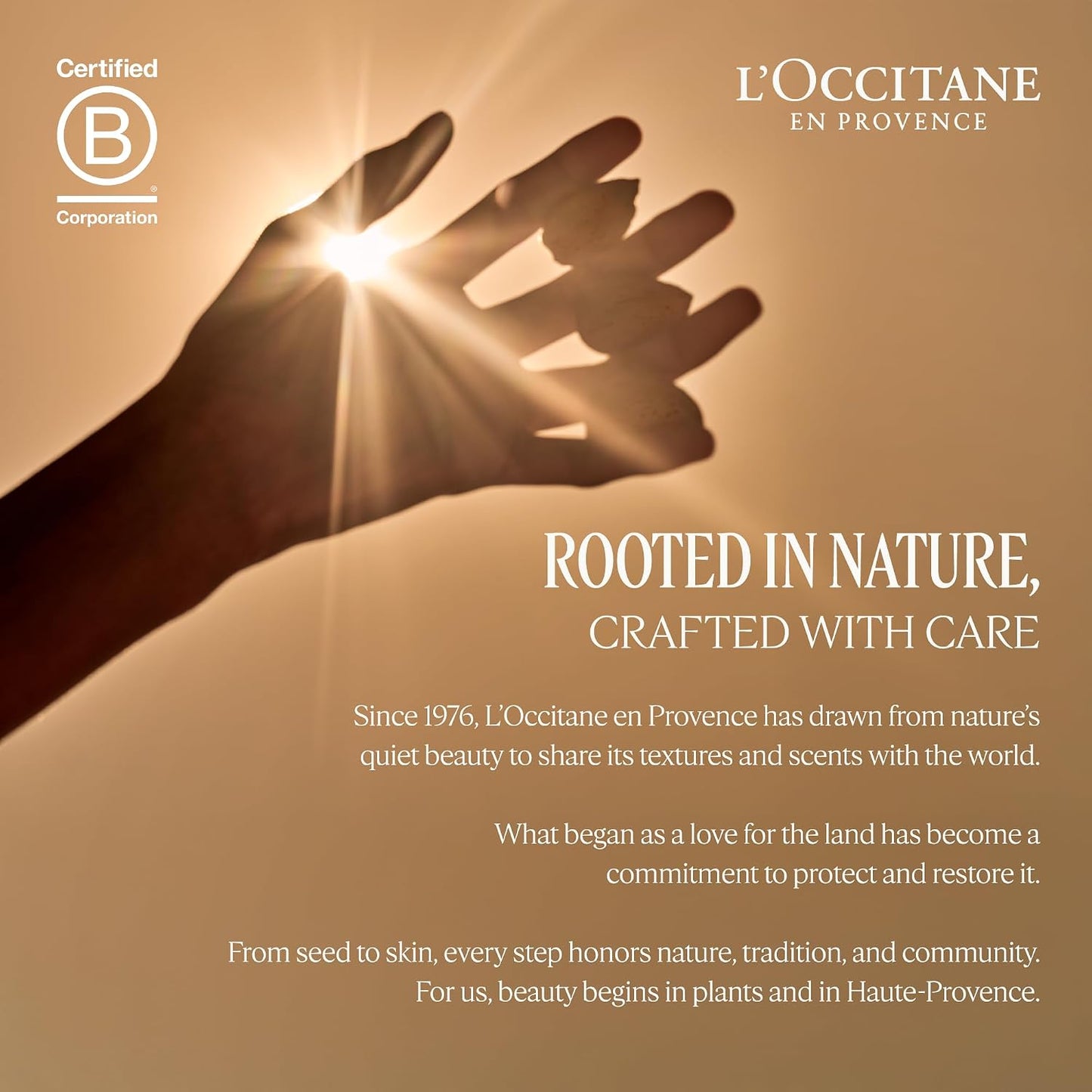L'Occitane Immortelle Divine Cream | Anti-Aging Face Cream – Firms, Smooths & Brightens