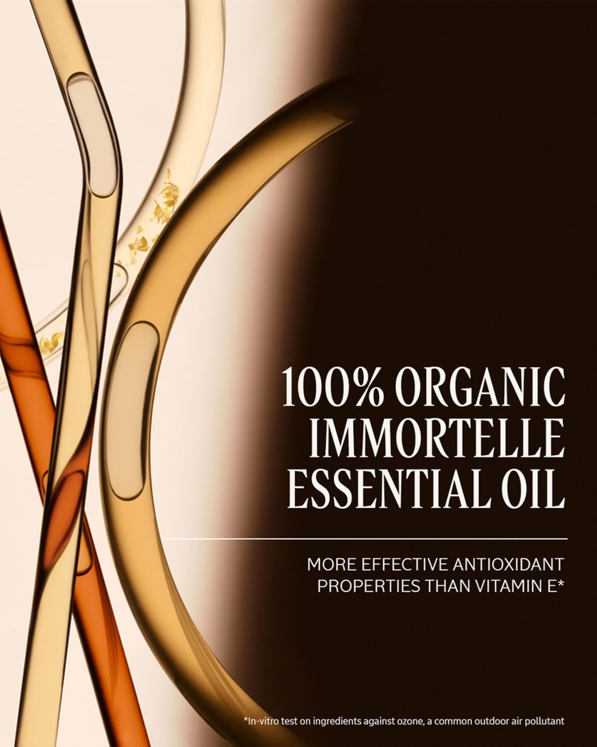 L'Occitane Immortelle Divine Cream | Anti-Aging Face Cream – Firms, Smooths & Brightens