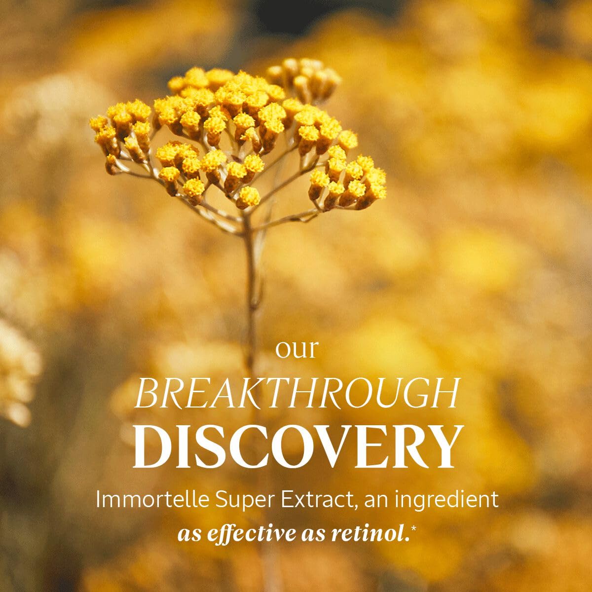L'Occitane Immortelle Divine Eye & Lip Contour | Anti-Aging Cream for Wrinkles, Firmness & Dark Circles