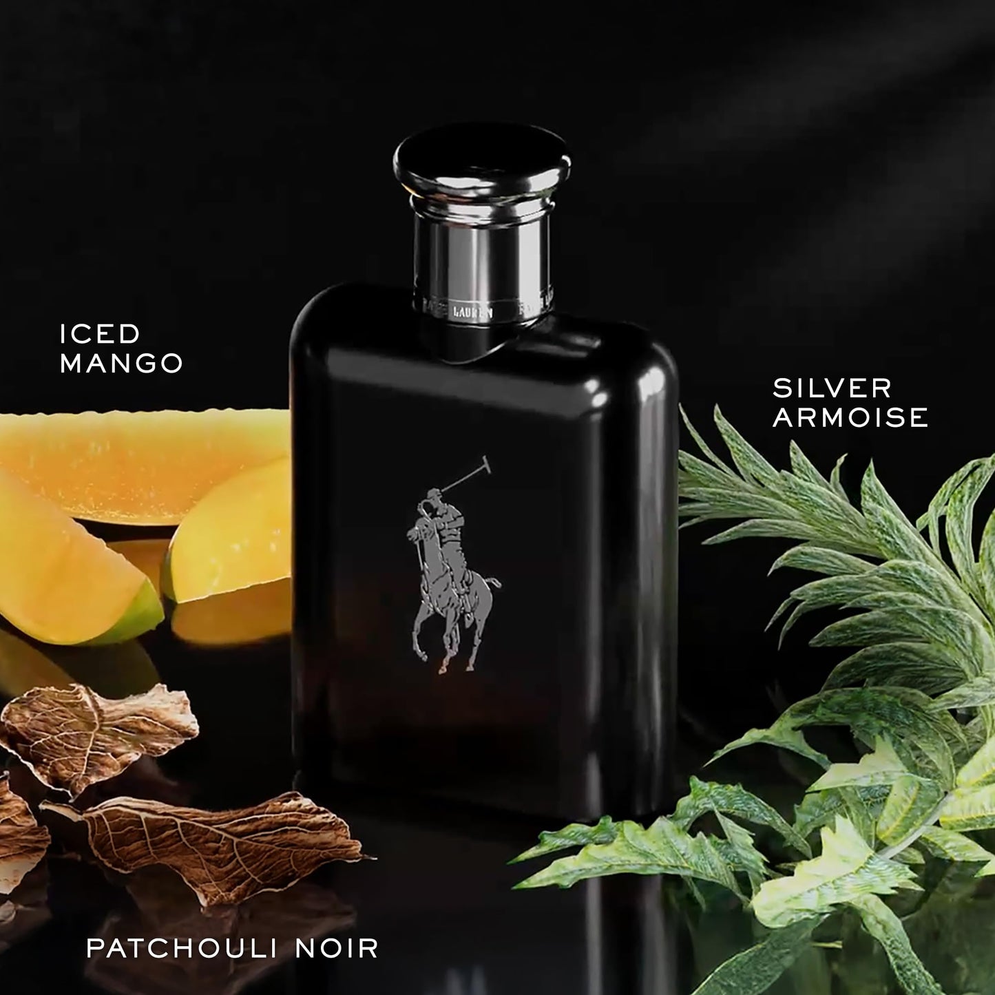 Ralph Lauren Polo Black Eau de Toilette – Bold & Refreshing Men's Luxury Fragrance