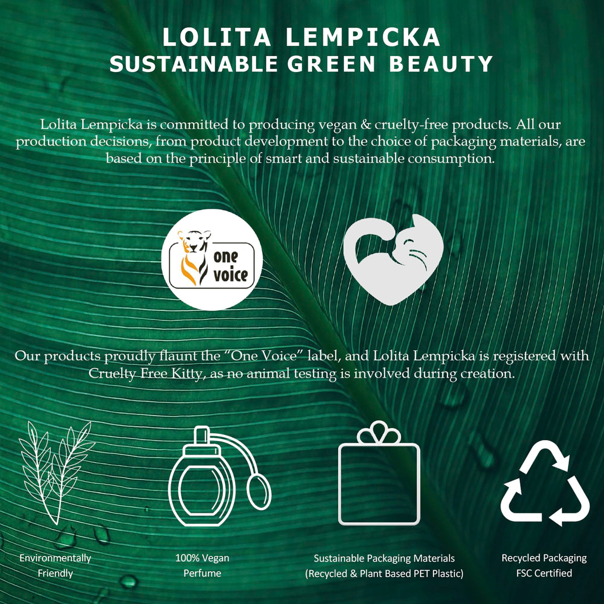 Lolita Lempicka Le Parfum EDP | Licorice Violet Anise