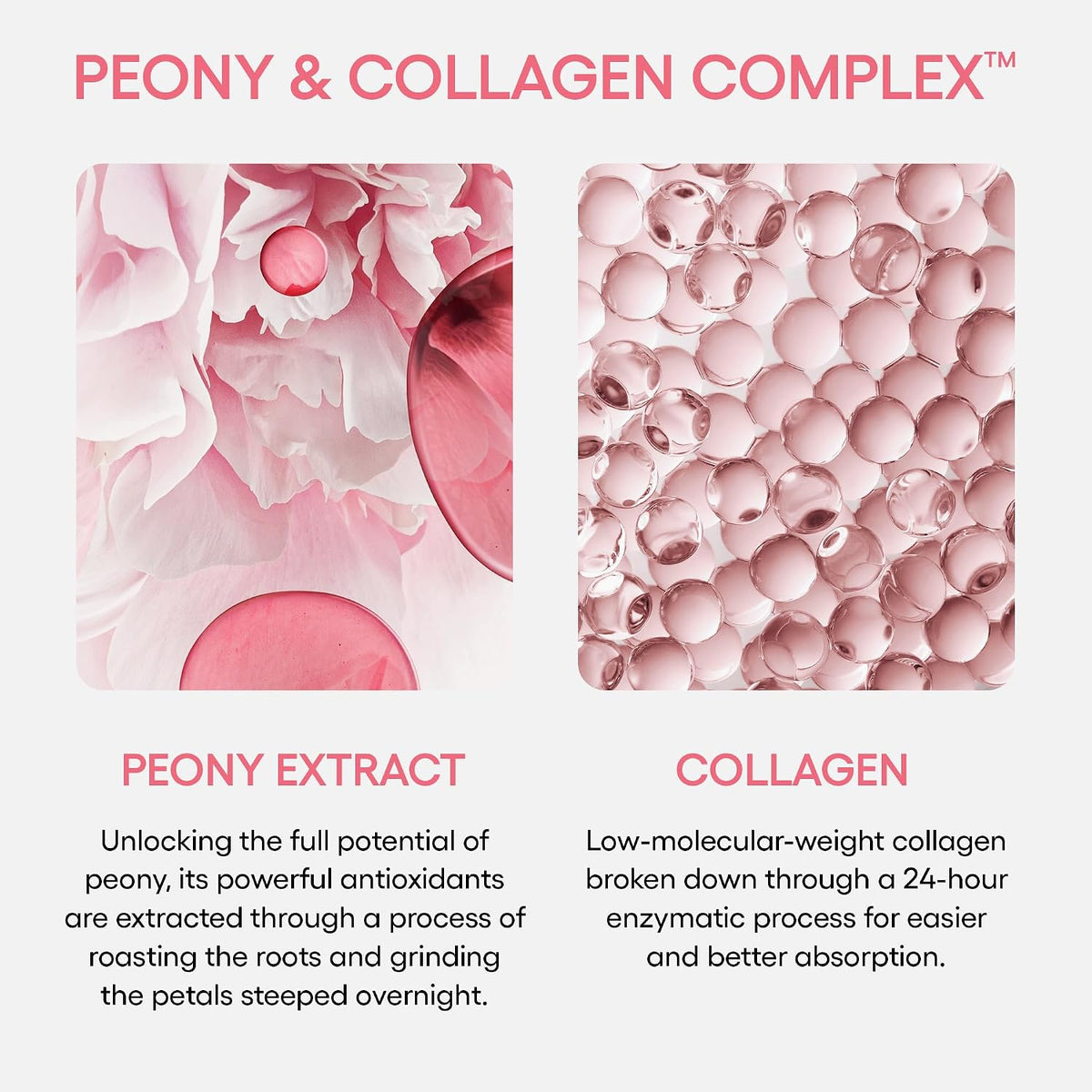 Laneige Bouncy & Firm Sleeping Mask | Overnight Plumping & Firming Mask with Peony & Collagen