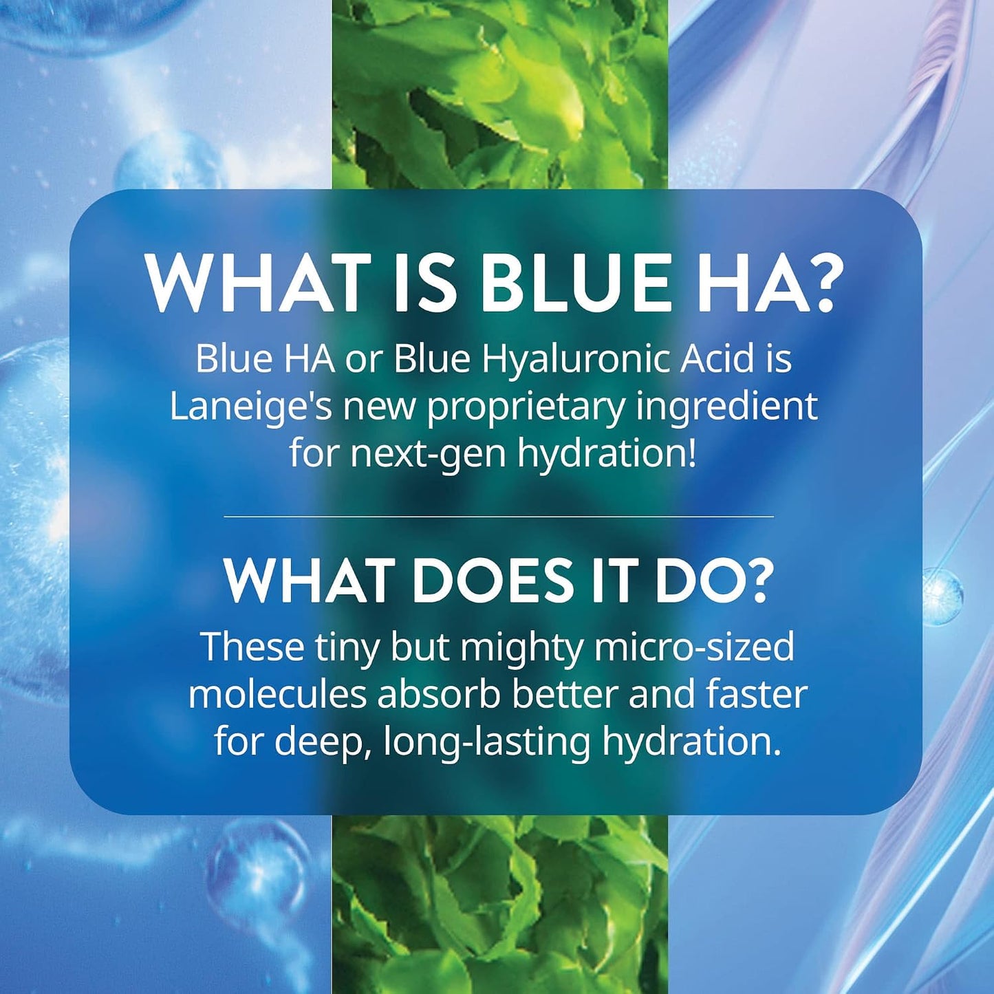 LANEIGE Water Bank Blue Hyaluronic Serum | Instant Hydration Boost — Firm, Smooth & Rescue Thirsty Skin.