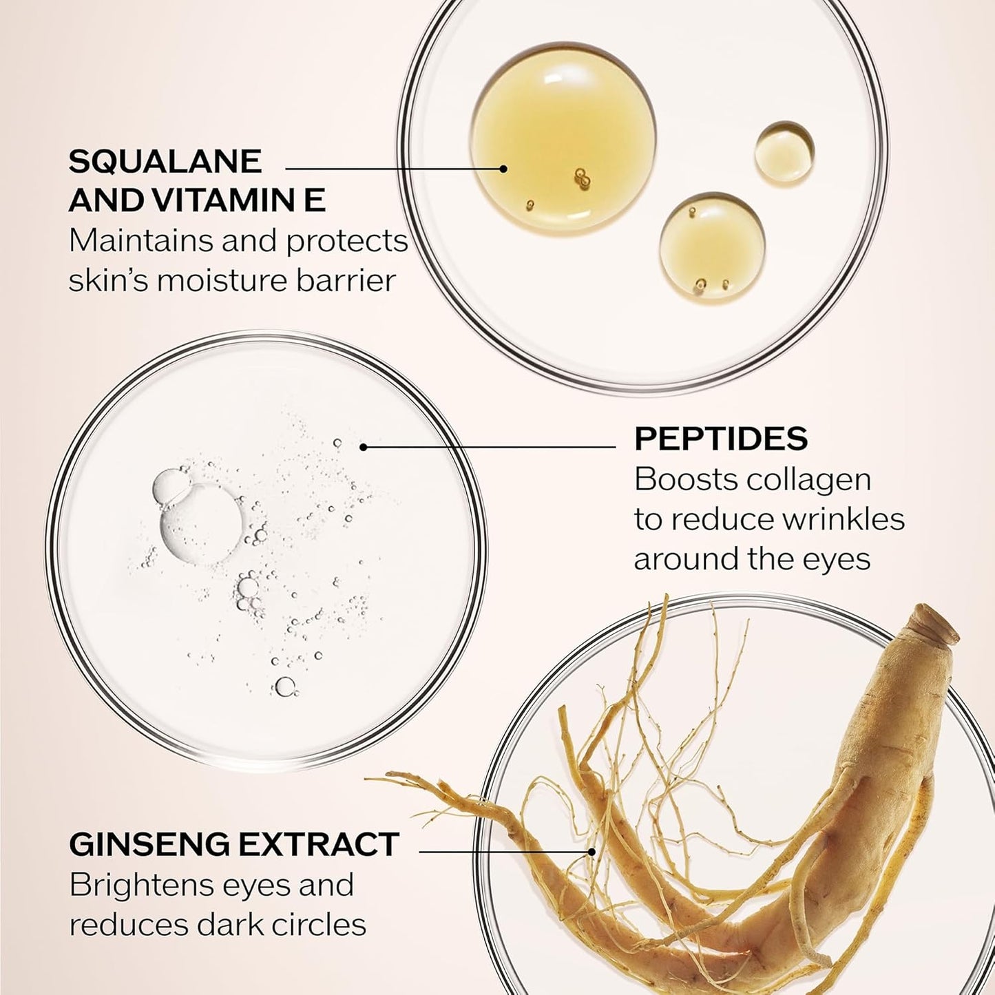 Shiseido Benefiance Wrinkle Smoothing Eye Cream – Anti-Aging Under-Eye Moisturizer
