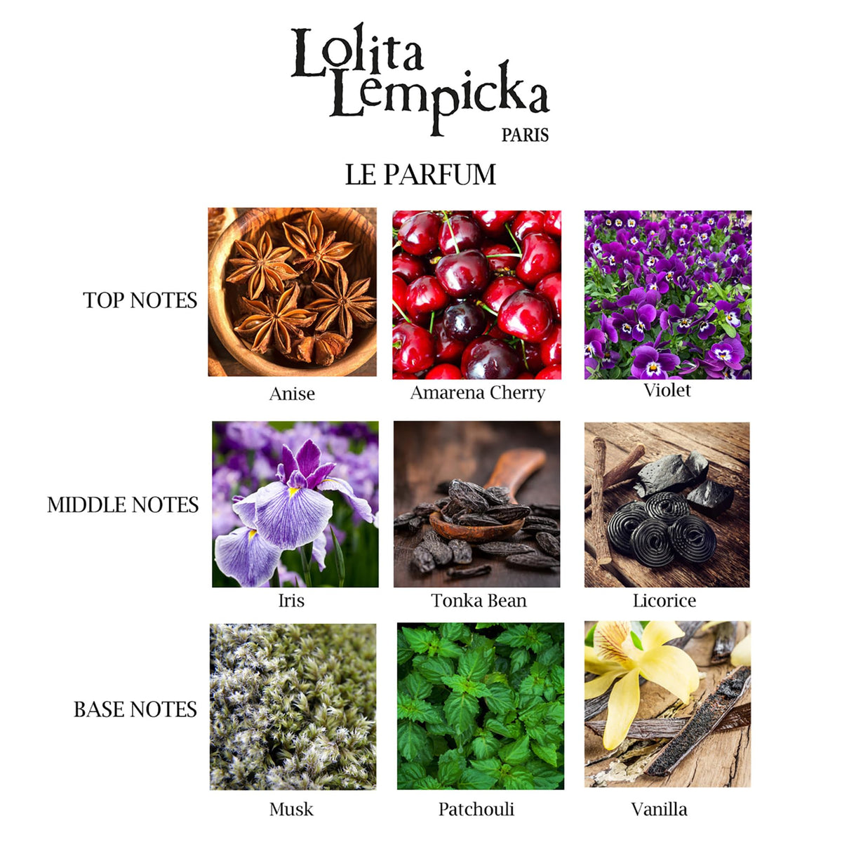 Lolita Lempicka Le Parfum EDP | Licorice Violet Anise