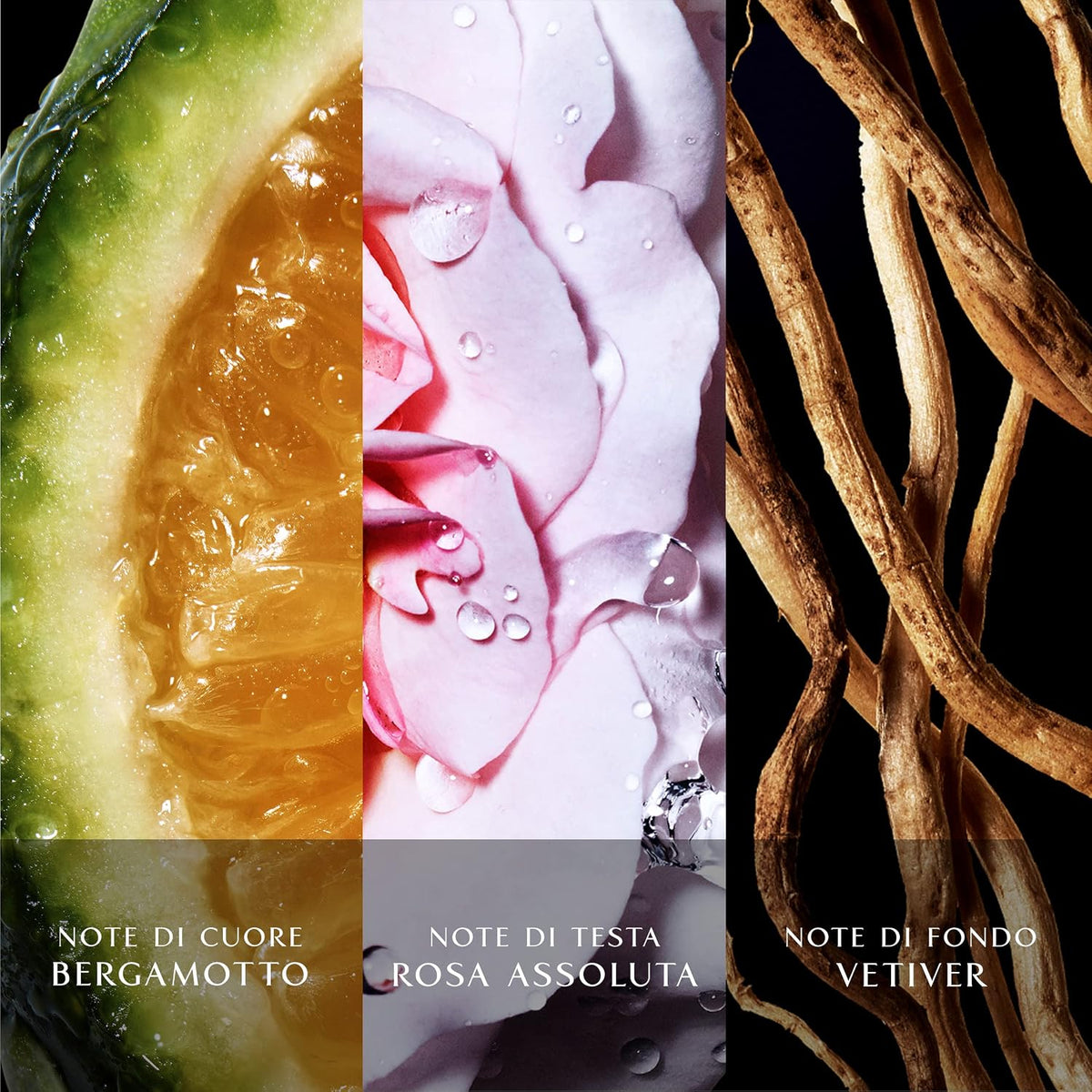 Davidoff Cool Water Reborn EDT for Women | Rose Vetiver